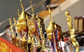 薪资专家：独行侠有资格为莱夫利申请伤病特例